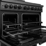 ZLINE 5-Piece Appliance Package - 48-Inch Paramount Dual Fuel Range, Wall Mount Range Hood, 36-Inch French Door Refrigerator with Water Dispenser, Dishwasher, and 24-Inch Microwave Drawer in Black Stainless Steel