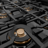 ZLINE Autograph 48-Inch 6.7 Cu. Ft. Classic Dual Fuel Range with 8 Burner DuoPro™ Cooktop and Dual Ovens in Black and Champagne (PCDRBZ-48-CB)