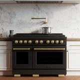 ZLINE 4-Piece Appliance Package - 48-Inch Paramount Dual Fuel Range, Wall Mount Range Hood, 36-Inch French Door Refrigerator, Dishwasher, in Black Stainless Steel with Gold Accents