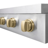 ZLINE Autograph Edition 36-Inch Paramount Induction Rangetop with 5 Element Cooktop in Stainless Steel and Champagne Bronze Accents (SINRTZ-36-CB)