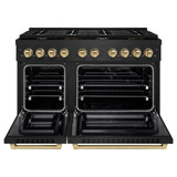 ZLINE 3-Piece Appliance Package - 48-Inch Paramount Dual Fuel Range, 36-Inch French Door Refrigerator with Water Dispenser, Dishwasher, in Black Stainless Steel with Champagne Bronze Accents