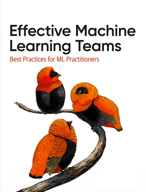 Effective Machine Learning Teams PDF
