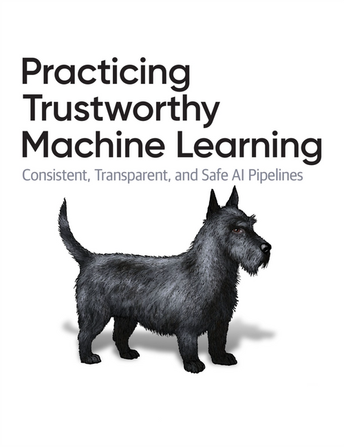 Practicing Trustworthy Machine Learning PDF