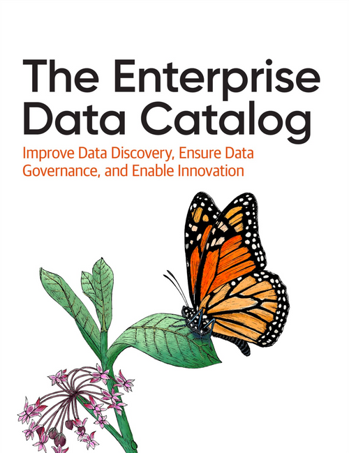 The Enterprise Data Catalog PDF
