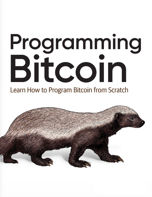 Programming Bitcoin PDF