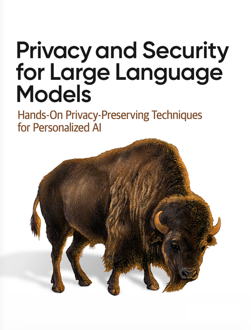 Privacy and Security for Large Language Models PDF