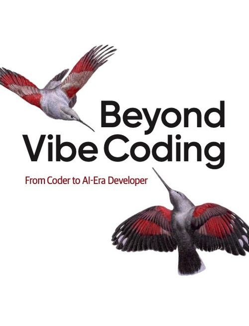 Beyond Vibe Coding PDF