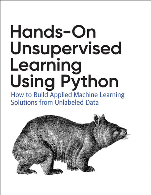 Hands-On Unsupervised Learning Using Python PDF