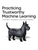 Practicing Trustworthy Machine Learning PDF