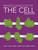 Molecular Biology of the Cell 7th Edition PDF