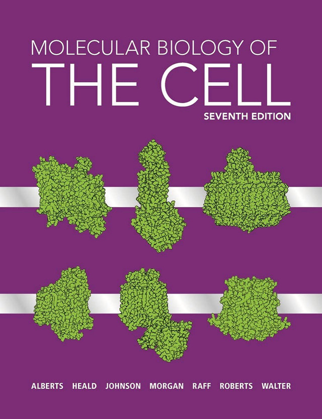 Molecular Biology of the Cell 7th Edition PDF Molecular Biology of the Cell 7th Edition PDF