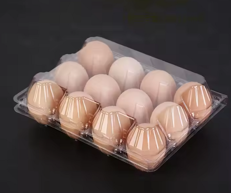 Eggs Large Grade AA 12ct