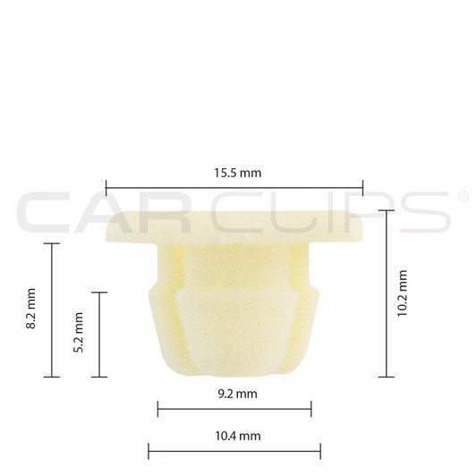 GM License Bracket Nut