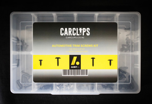 Automotive Trim Screw Kit