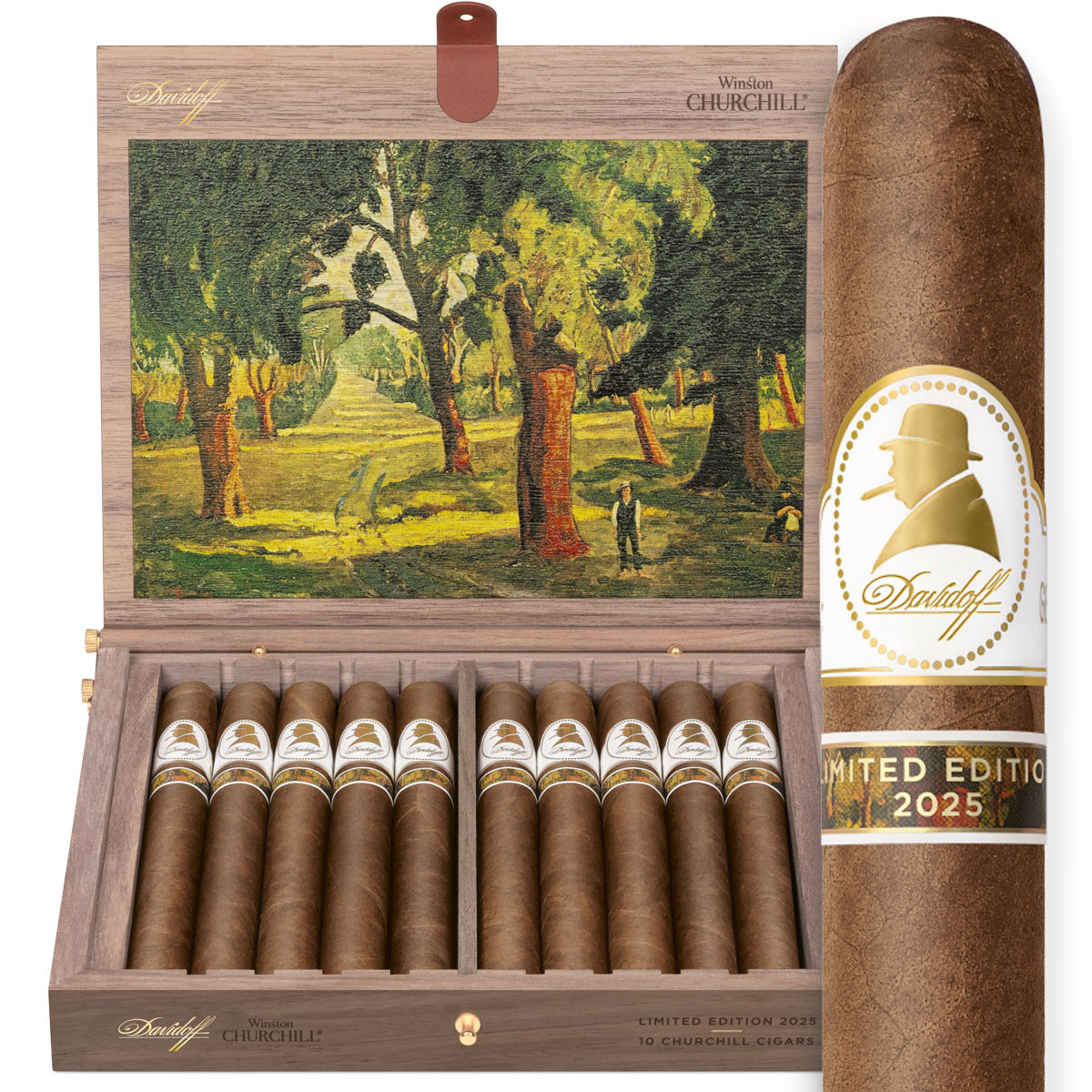 Davidoff Winston Churchill Limited Edition 2025 The Artist (7x48