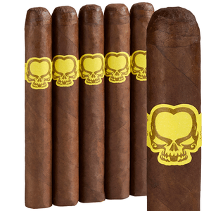 Asylum 13 Split Personality Robusto (5x50 / 5 Pack) + Flash Sale!
