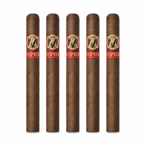 AVO Expressivo Churchill (7x48/ 5 Pack)