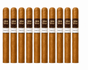 Aging Room Core by Rafael Nodal Connecticut Vivase (6x50 / 10 Pack)