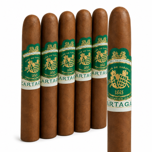 Partagas Valle Verde Toro (6x52 / 5 Pack)