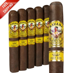 AJ Fernandez Havana Soul Robusto (5x54 / 5 Pack) + Flash Sale!