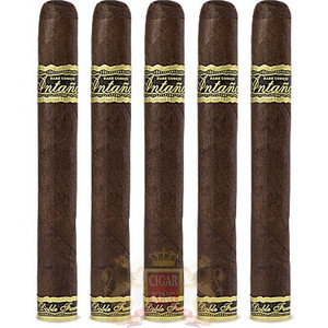 Joya de Nicaragua Dark Corojo La Niveladora Joya de Nicaragua Dark Corojo La Niveladora