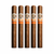 Avo Syncro Fogata Robusto (5x50 / 5 Pack)