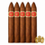 Curivari El Gran Rey Belicoso (5.3x52 / 5 Pack)
