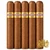 Curivari Buenaventura BV500 (5.25x50 / 5 Pack)