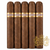 Curivari Buenaventura Pralines P460 (4.88x60 / 5 Pack)