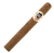 HVC San Isidro Hermoso 2019 (4.25x54 / Box 20)