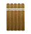 Curivari Buenaventura CT(6.25x54 / 5 Pack)