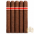Curivari Sun Grown 550 (5x50 / 5 Pack)