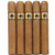 Charter Oak Shade Grande (6x60 / 5 Pack)