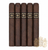 Curivari Socrates 654 (6x54 / 5 Pack)