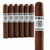 Punch Signature Rothschild (4.5x50 / 6 Pack)