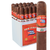 New Cuba By Casa Fernandez Maduro Churchill (7x48 / Bundle of 25)