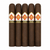 CAO Zocalo San Andres Gigante (6x60 / 5 Pack) 