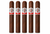 Avo Syncro Caribe Robusto ( 5x50 / 5 Pack)