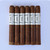 Camacho Factory Unleashed (6x50 / 6 Pack)