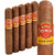 Punch Gran Puro Pico Bonito (6x50 / 5 Pack)