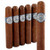 Macanudo Cru Royale Robusto (5x50 / 5 Pack)