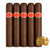 Curivari Seleccion Privada Maduro Magnifico (6x60 / 5 Pack)