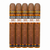 Plasencia Cosecha 149 La Vega Robusto (5x52 / 5 Pack)