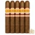 La Aurora 1903 Cameroon Toro (5.75x54 / 5 Pack)