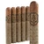 Asylum 867 Midnight Oil Toro (6x54 / 5 Pack)