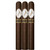 Davidoff Limited Maduro 2024 Robusto (5x50 / 3 Pack)