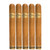 Sobremesa Brulee Toro (6x52 / 5 Pack)