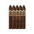 Ashton VSG Belicoso No. 1 (5.25x52 / 5 Pack)