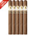 Davidoff Winston Churchill Limited Edition 2025 The Artist (7x48 / 5 Pack)