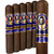AJ Fernandez Cuban Diplomat Toro Box-Press (6x54 / 5 Pack) AJ Fernandez Cuban Diplomat Toro Box-Press (6x54 / 5 Pack)